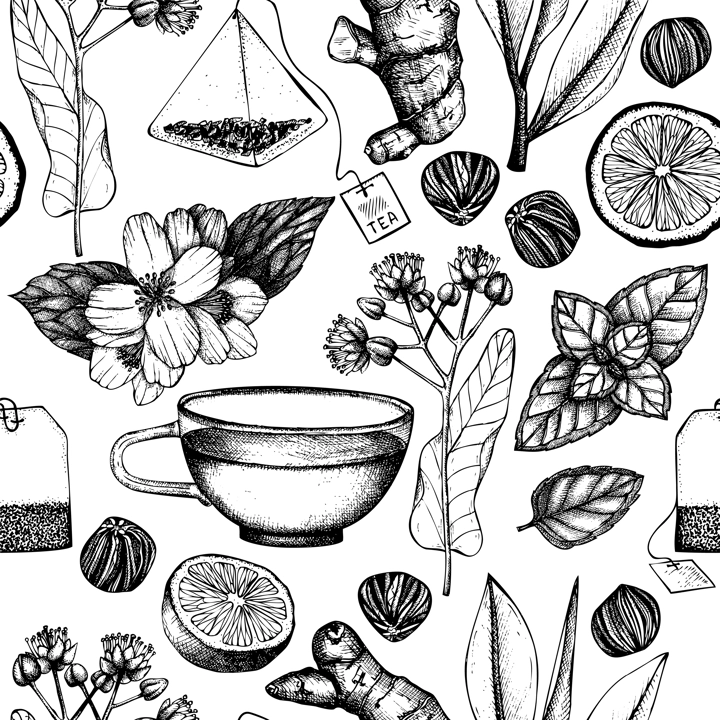 Tea seamless pattern. Herbal tea ingredient background. Herb, spice, fruit, berry sketches. Hand-drawn vector illustration. NOT AI generated